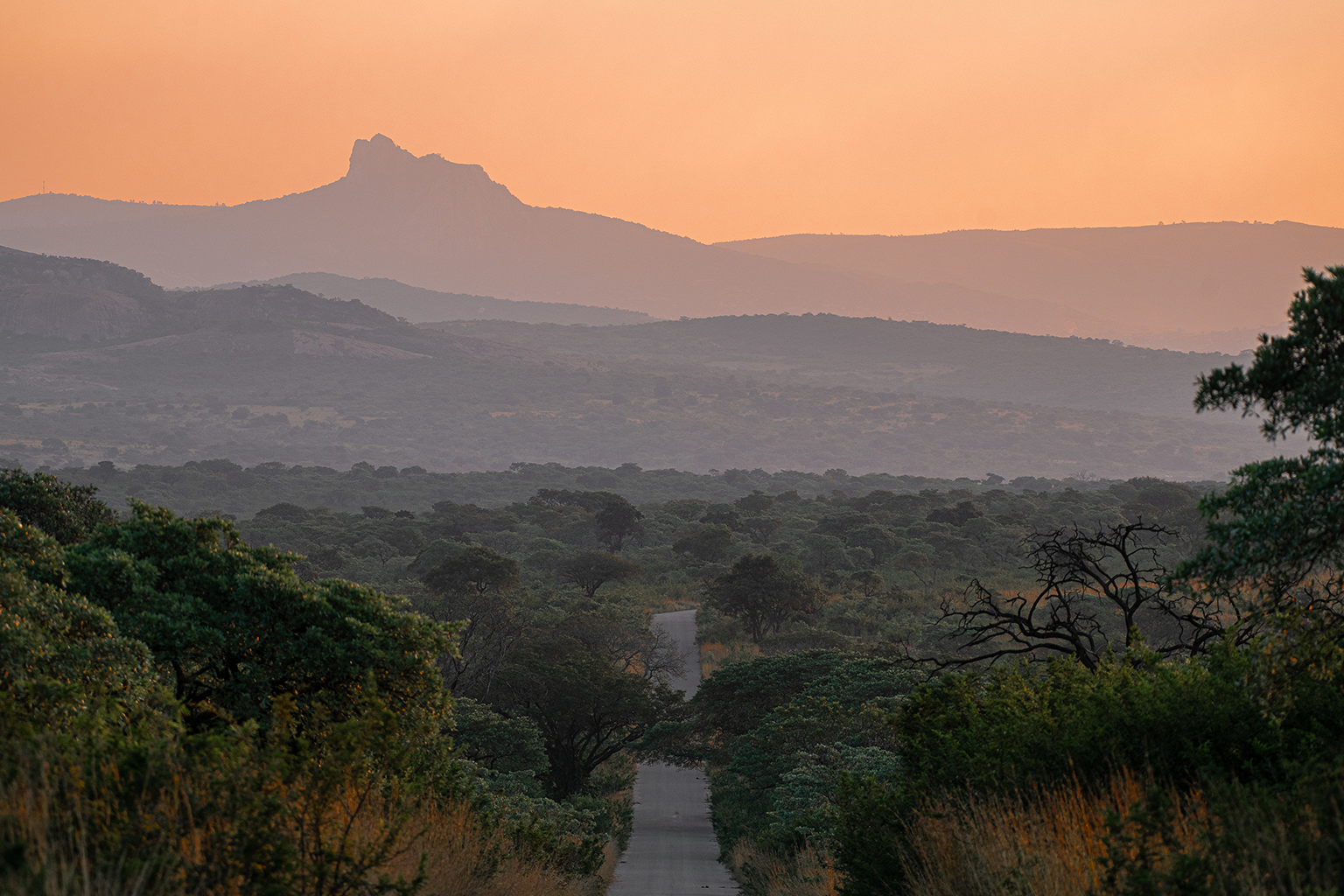 Best Gates by Arrival City: Where to Enter Kruger
