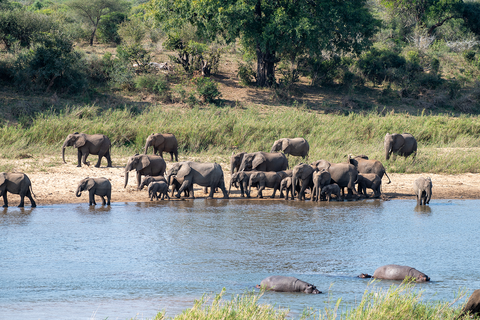 One Perfect Day: Lower Sabie → Crocodile Bridge