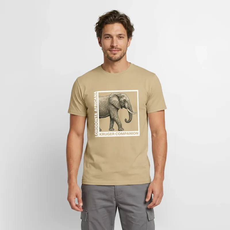 Afrikanischer Elefant, Bild 1