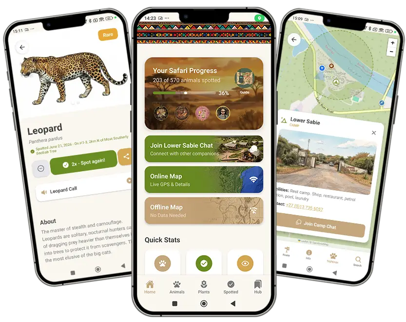 Kruger Companion Mobile Mockups