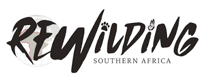 Rewilding Southern Africa